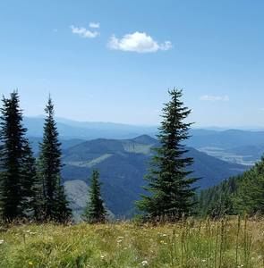 Meet your Posher, Patsy